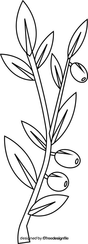 Olive branch olives long black and white clipart