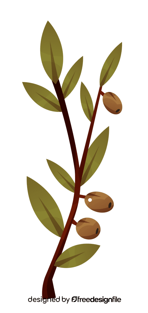 Olive branch olives long clipart