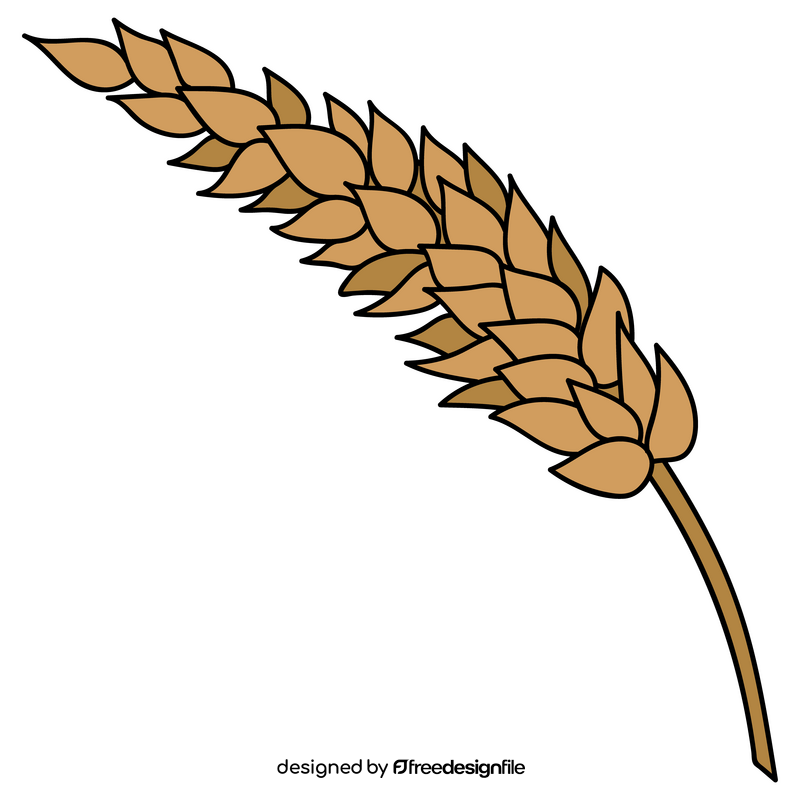 Wheat spike clipart