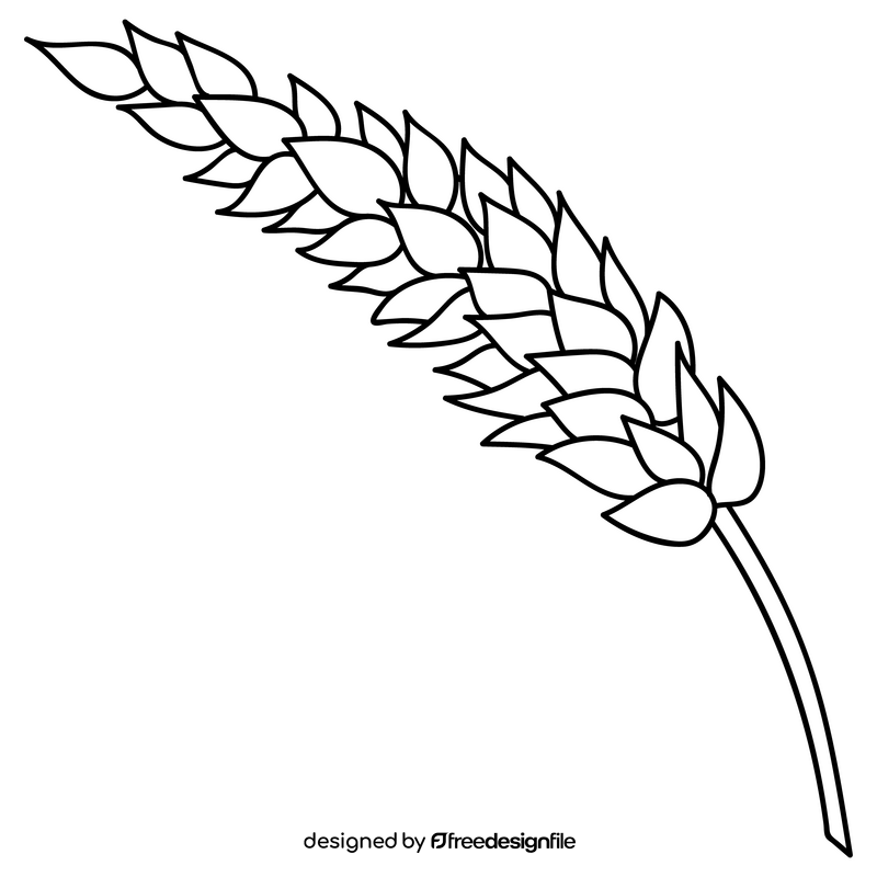 Wheat spike drawing black and white clipart free download