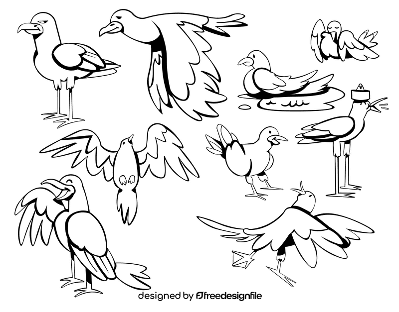 Seagull black and white vector