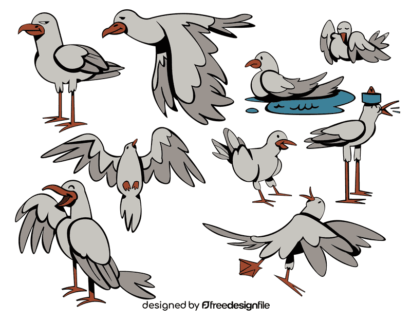 Seagull vector