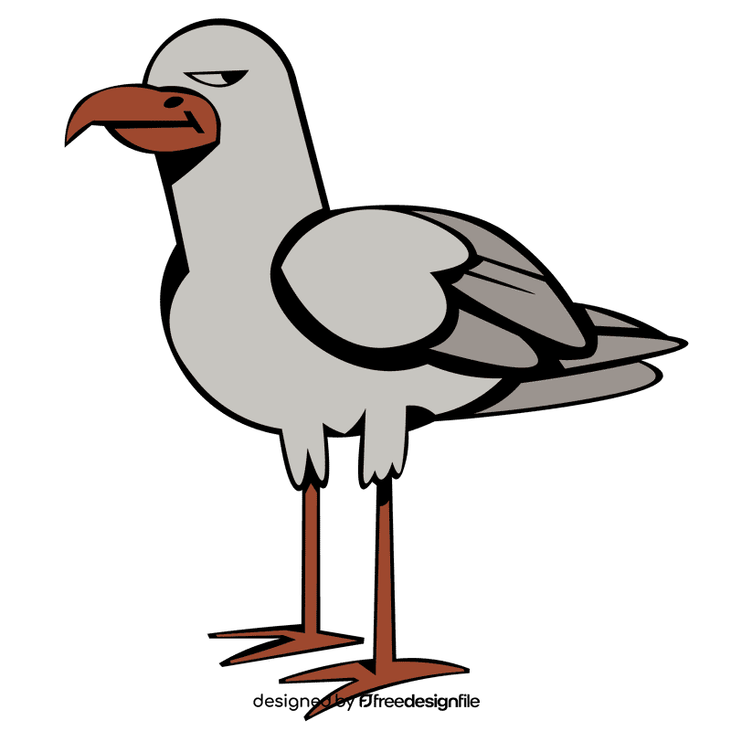 Seagull bird clipart