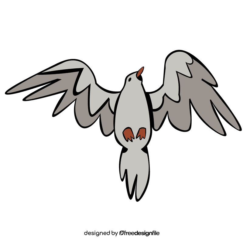 Seagull flying clipart