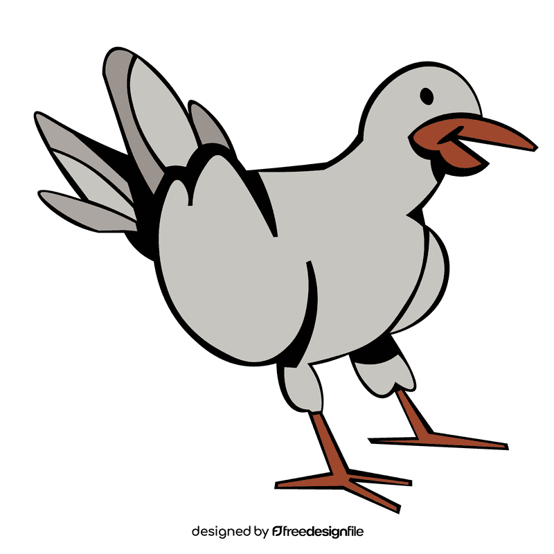 Seagull clipart