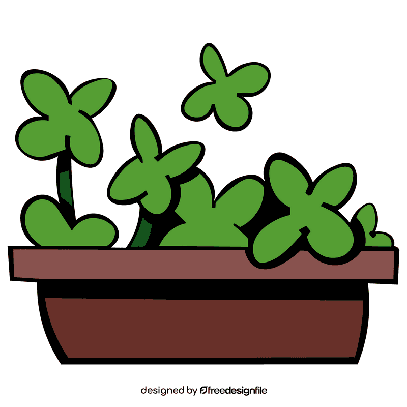 Shamrock clover pot clipart
