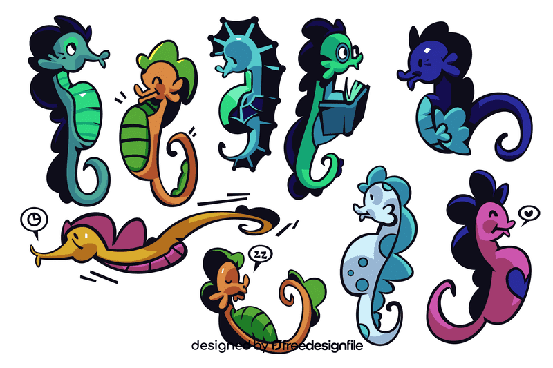 Seahorse vector