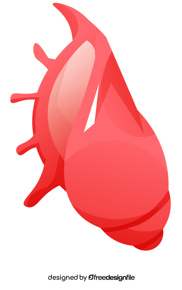 Seashell spikes clipart