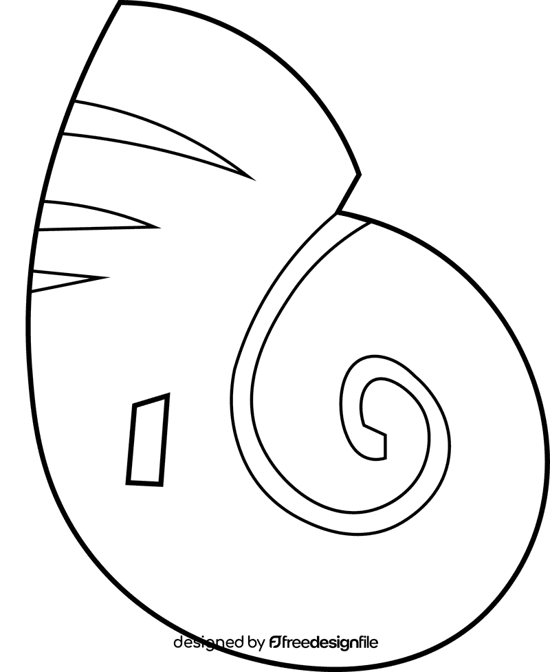 Seashell spiral black and white clipart