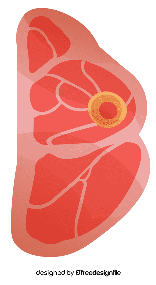 Steak meat clipart