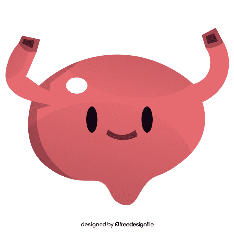 Bladder clipart