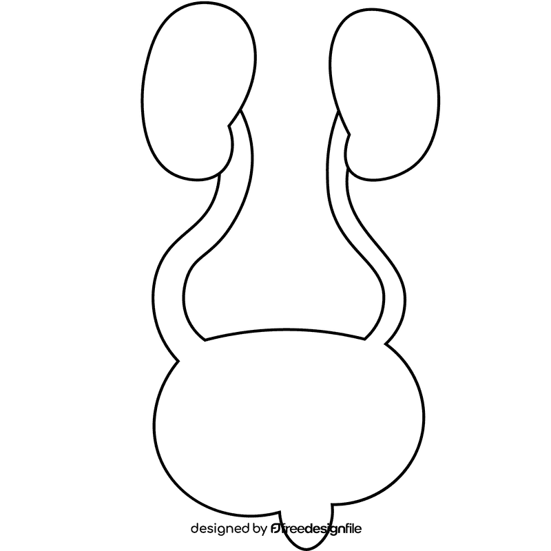 Bladder system black and white clipart