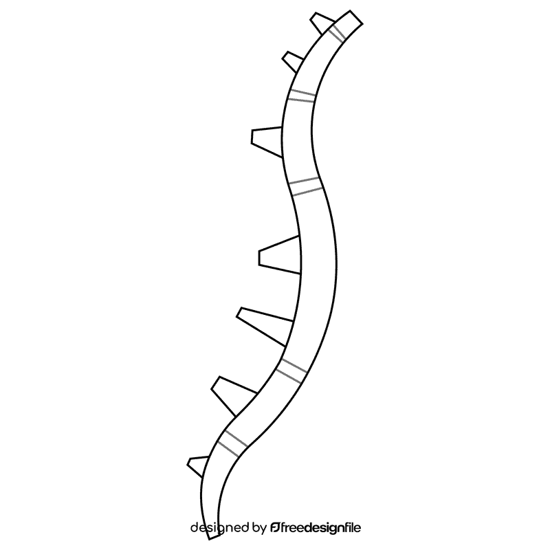 Bones spine black and white clipart