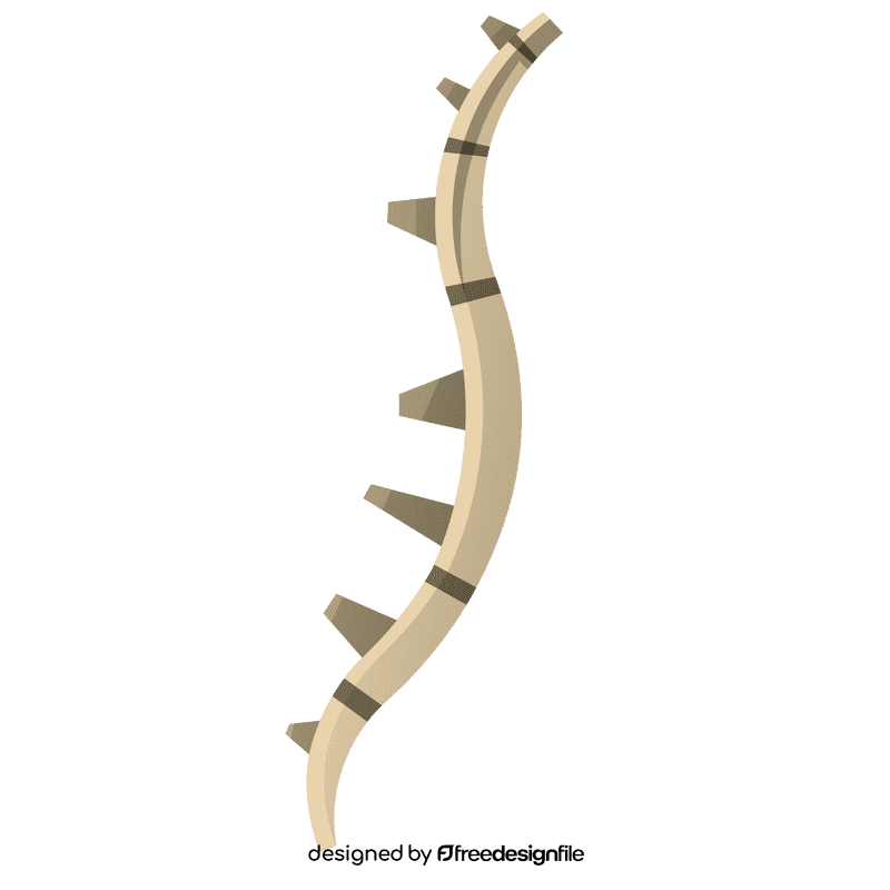 Bones spine clipart
