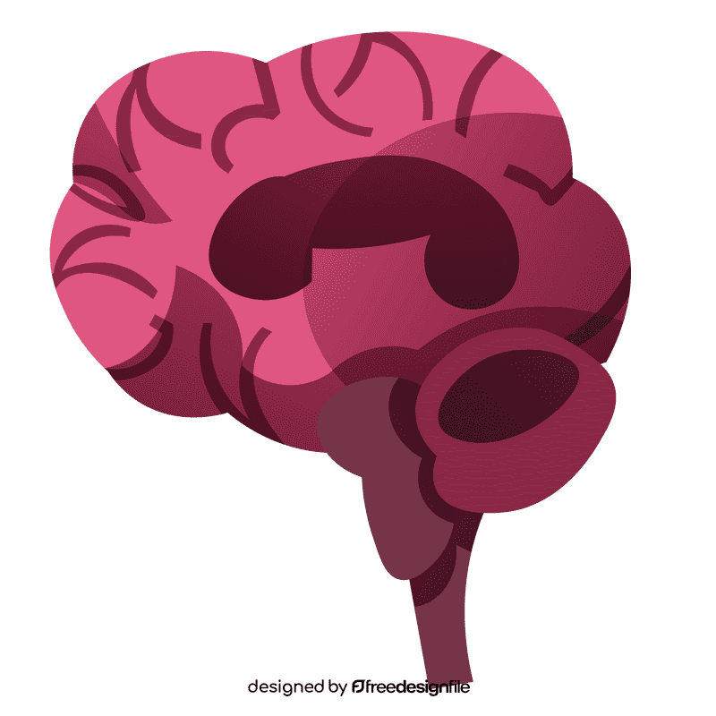 Brain cut clipart
