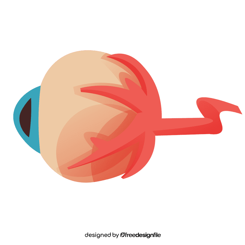 Eye profile clipart
