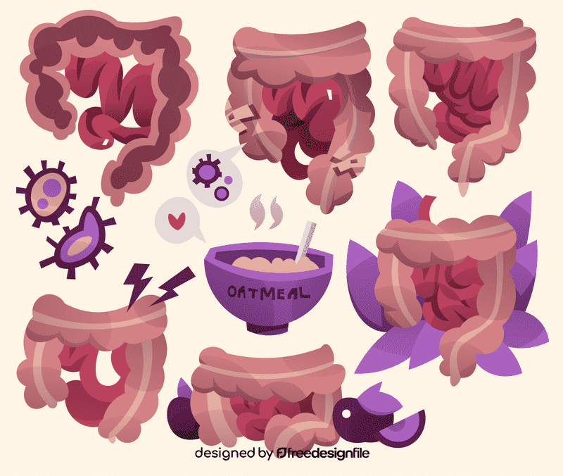 Intestines vector