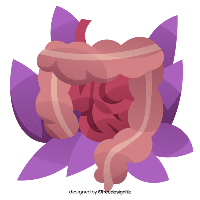 Intestines plant clipart