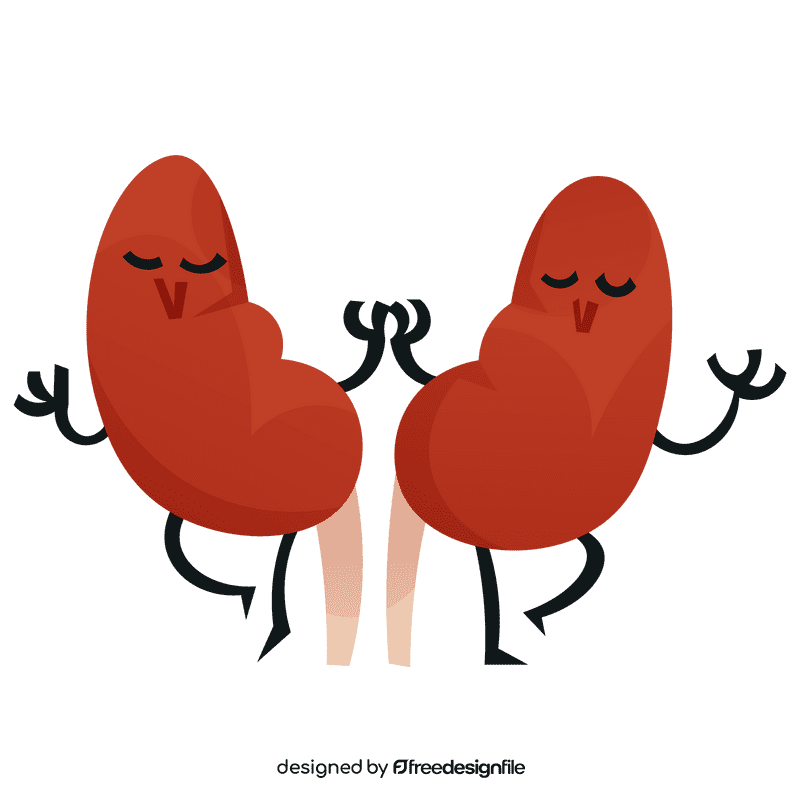 Kidneys couple clipart