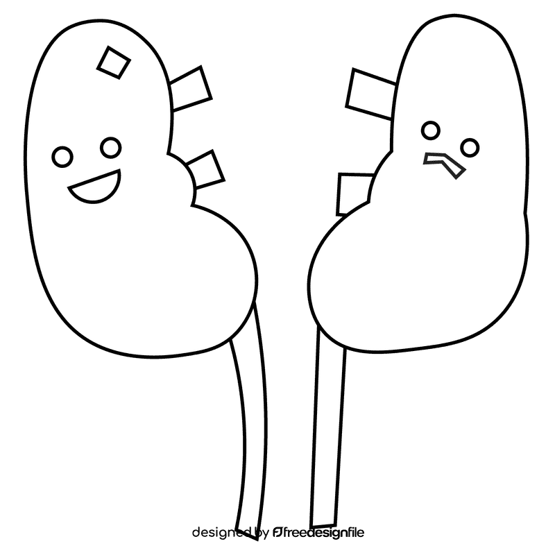Kidneys black and white clipart