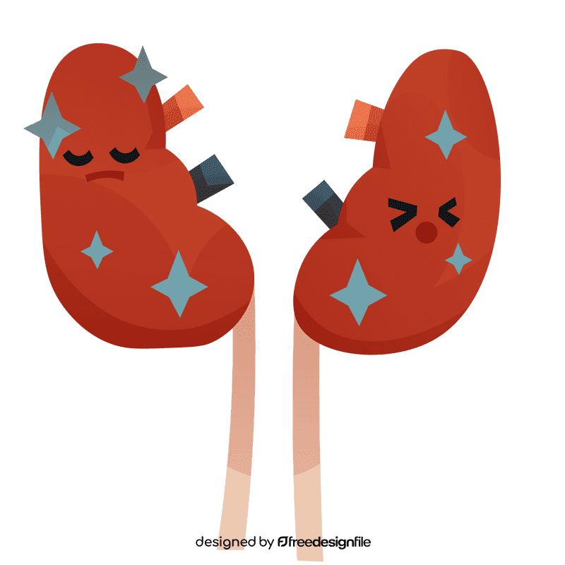 Kidneys stones clipart
