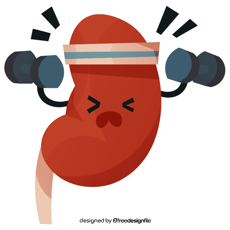Kidneys strong clipart