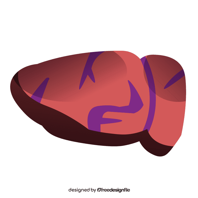 Liver cut clipart