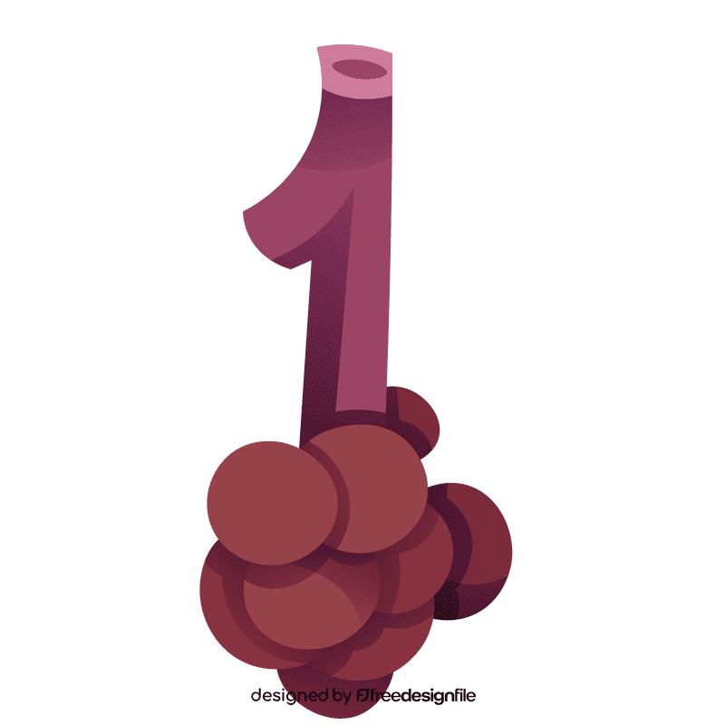 Lungs alveoli clipart