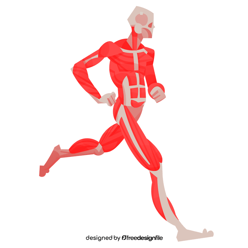 Muscles fullbody clipart