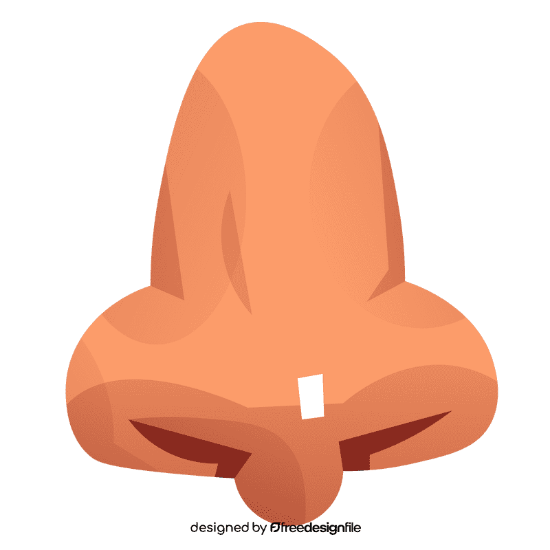 Nose frontview clipart