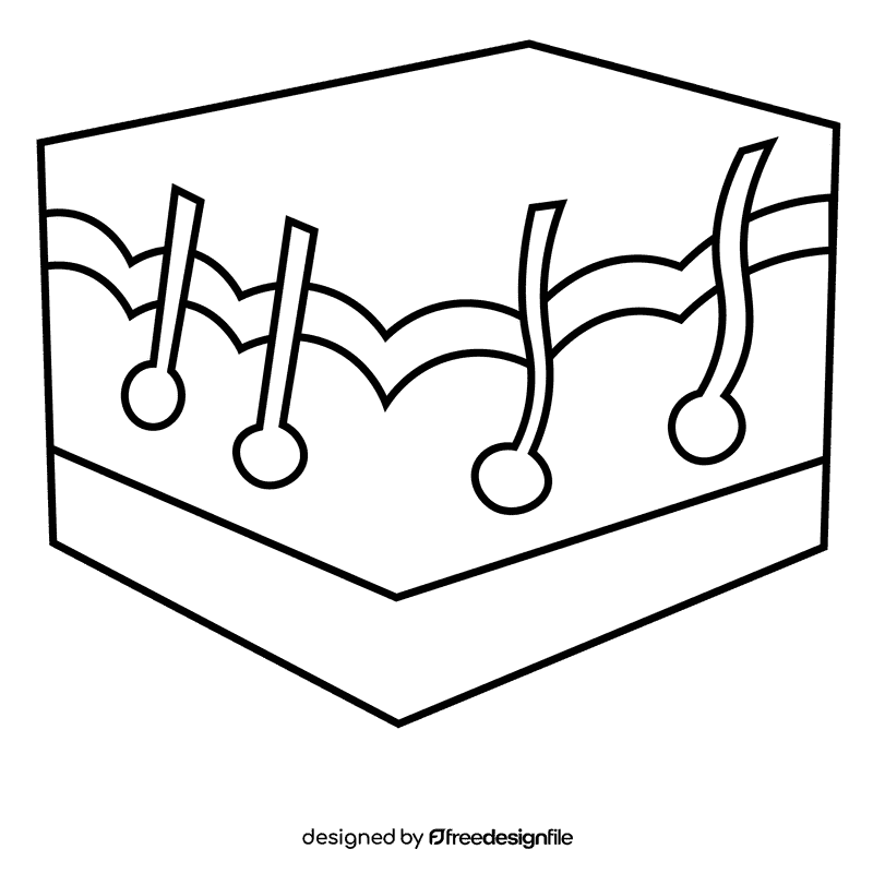 Skin cut black and white clipart