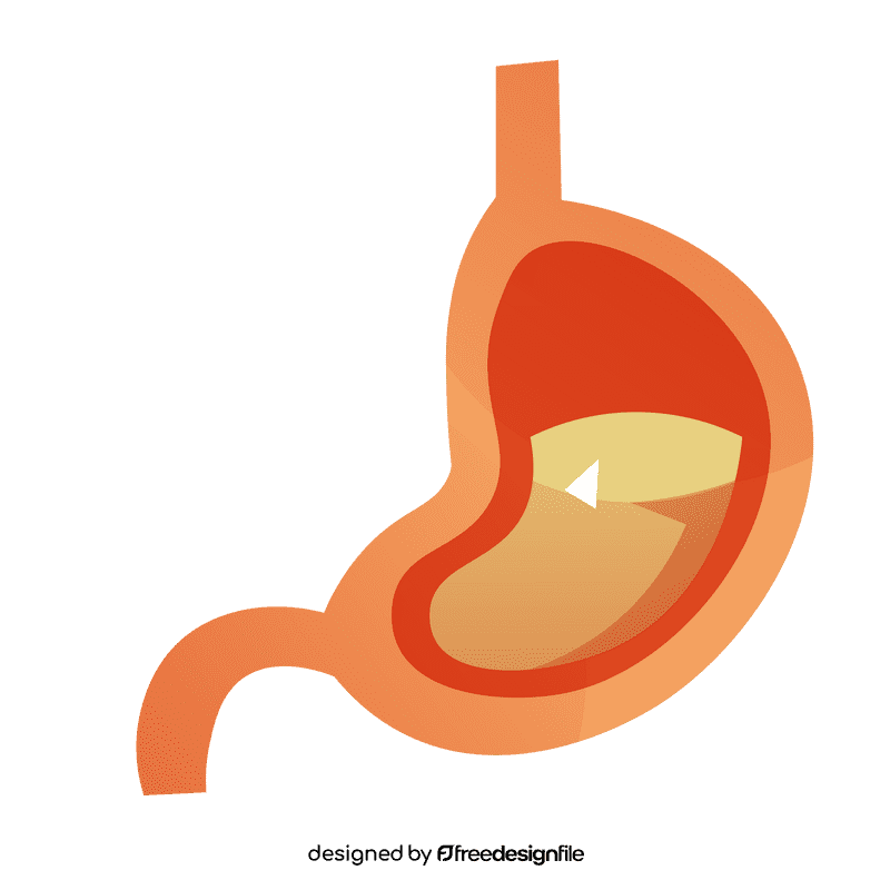 Stomach acid clipart