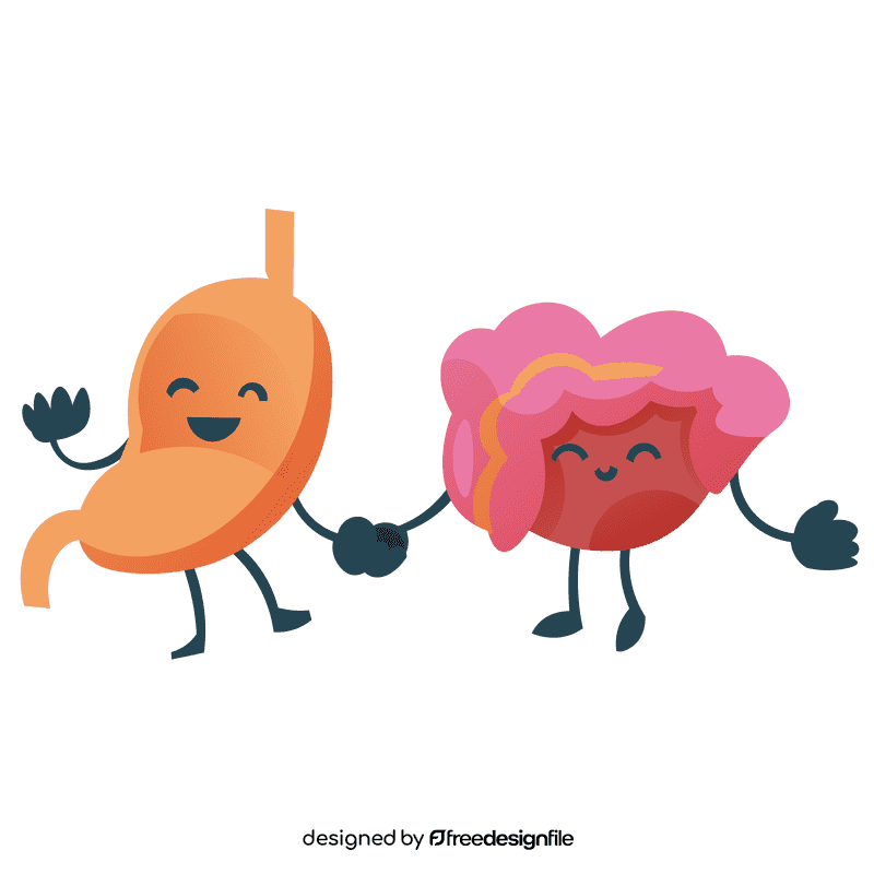 Stomach friends clipart