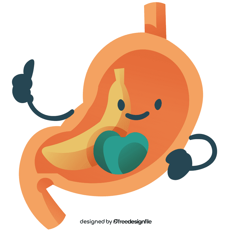 Stomach full clipart