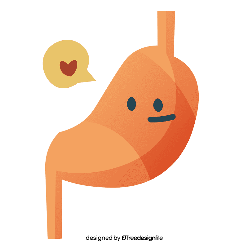 Stomach clipart