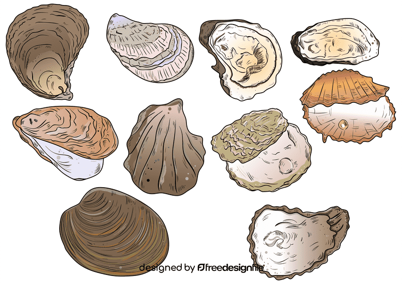 Oyster vector