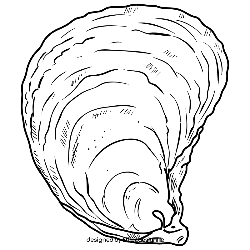 Oyster black and white clipart