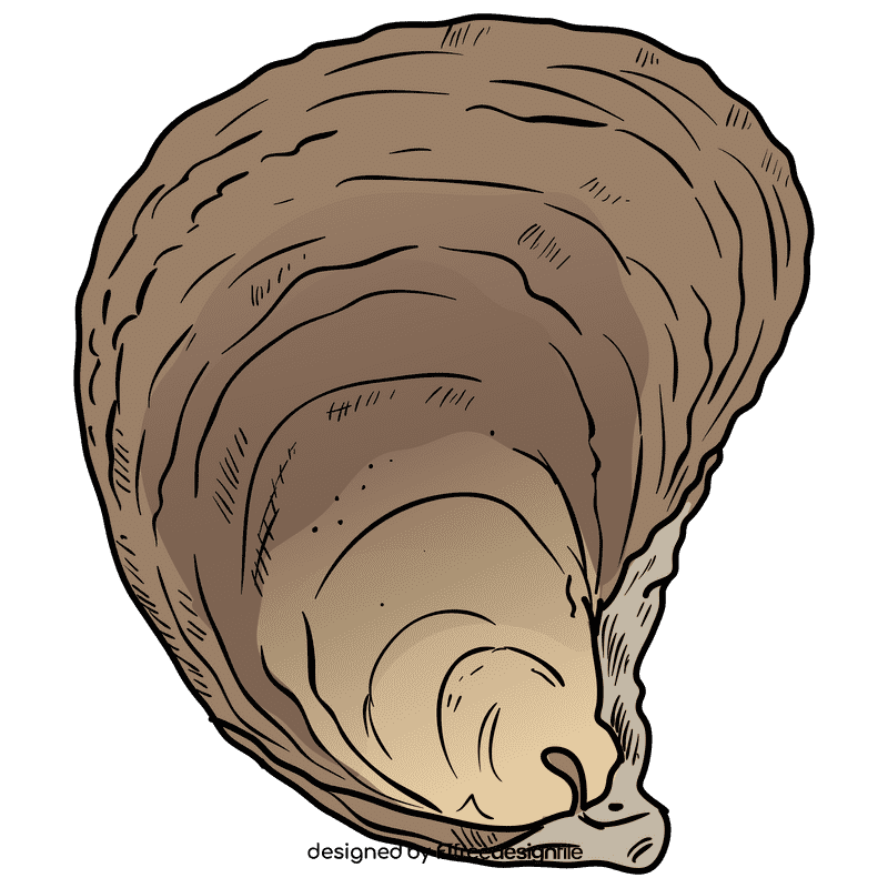 Oyster clipart