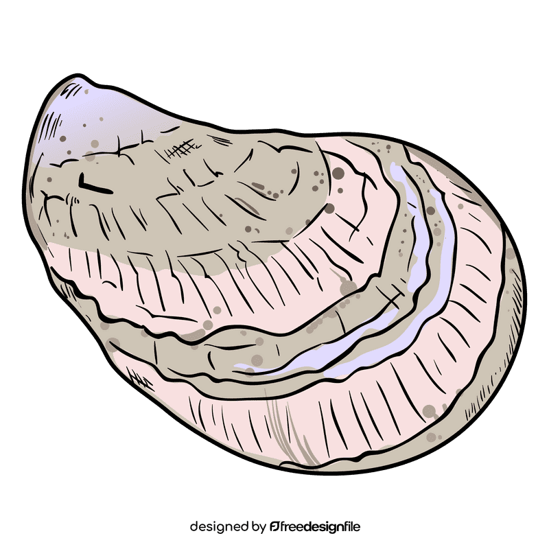 Oyster clipart