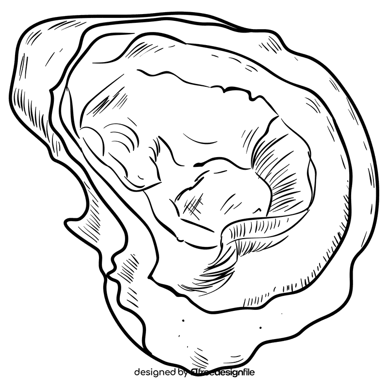 Oyster black and white clipart