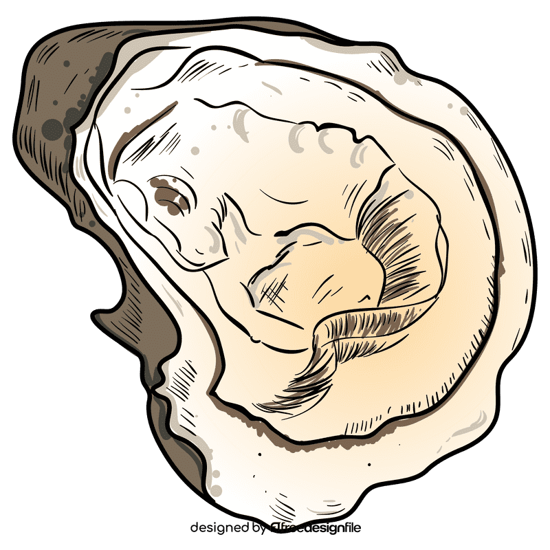 Oyster clipart