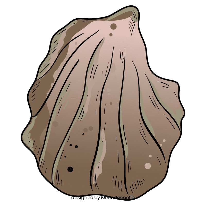Oyster clipart