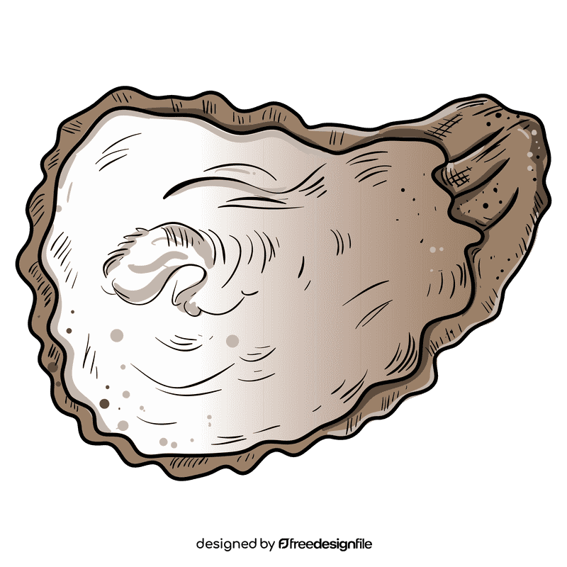 Oyster clipart