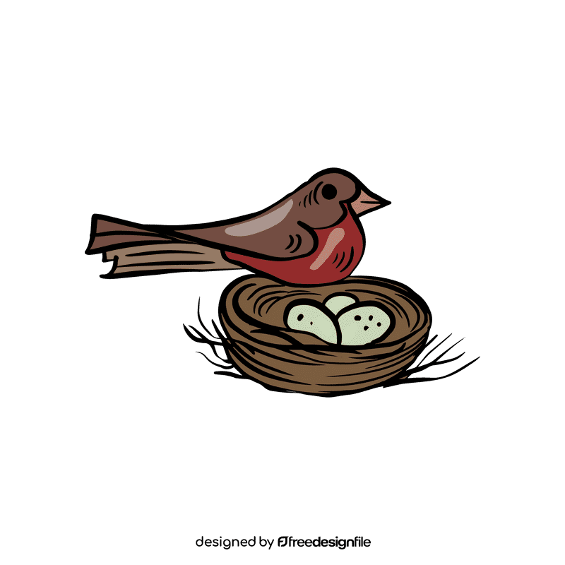 Bird Nest clipart