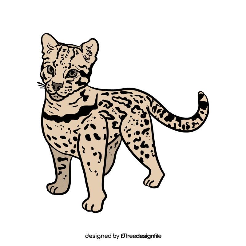 Cheetah clipart