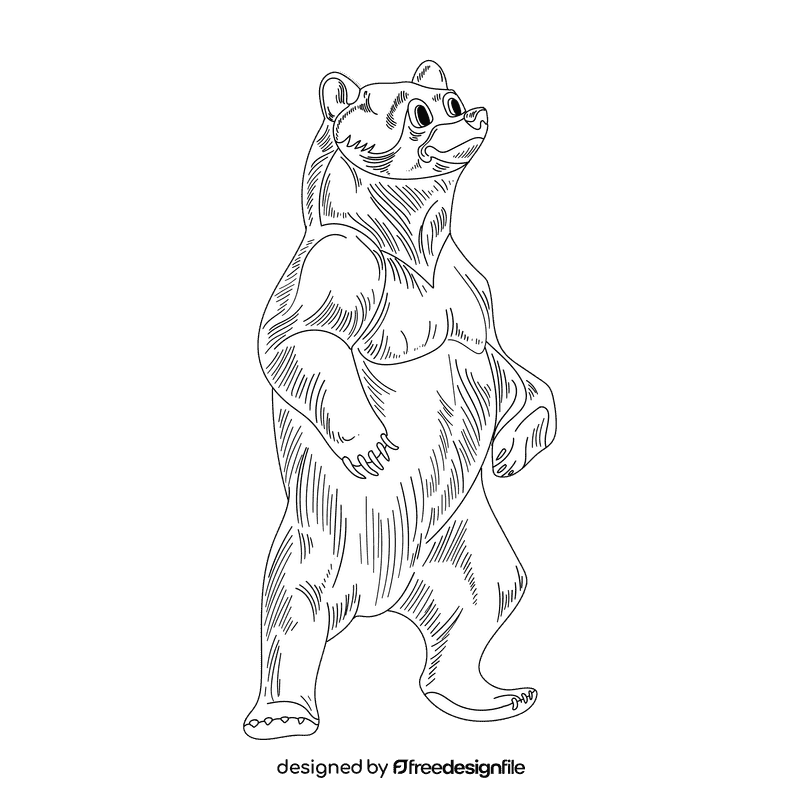 Bear black and white clipart