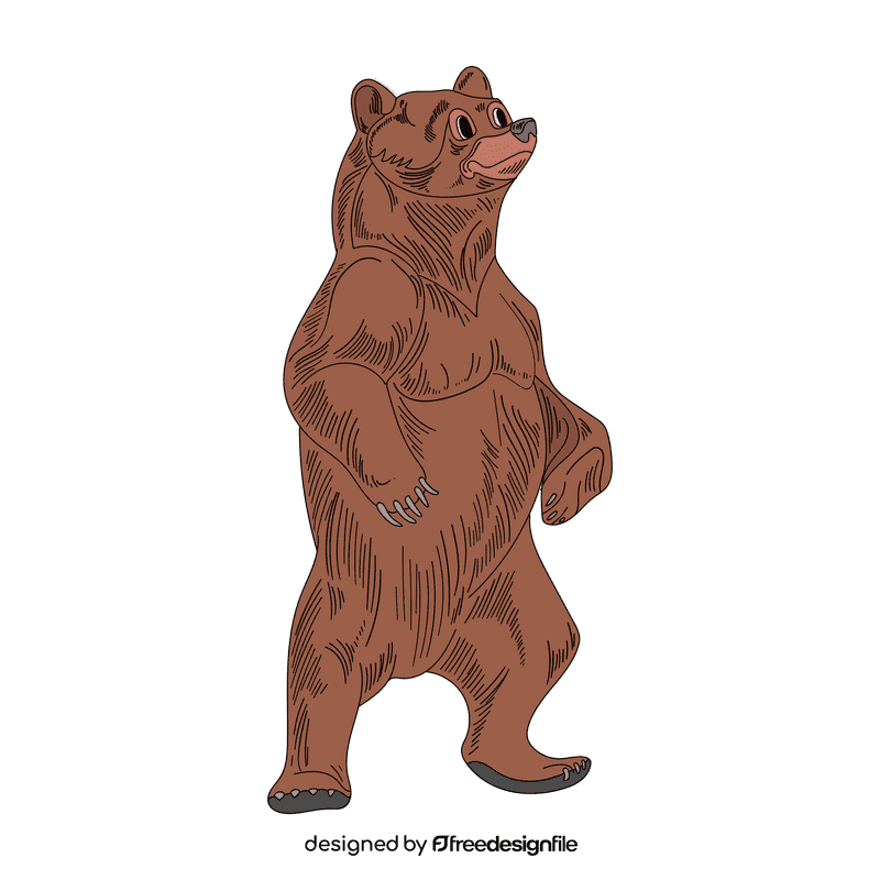 Bear clipart