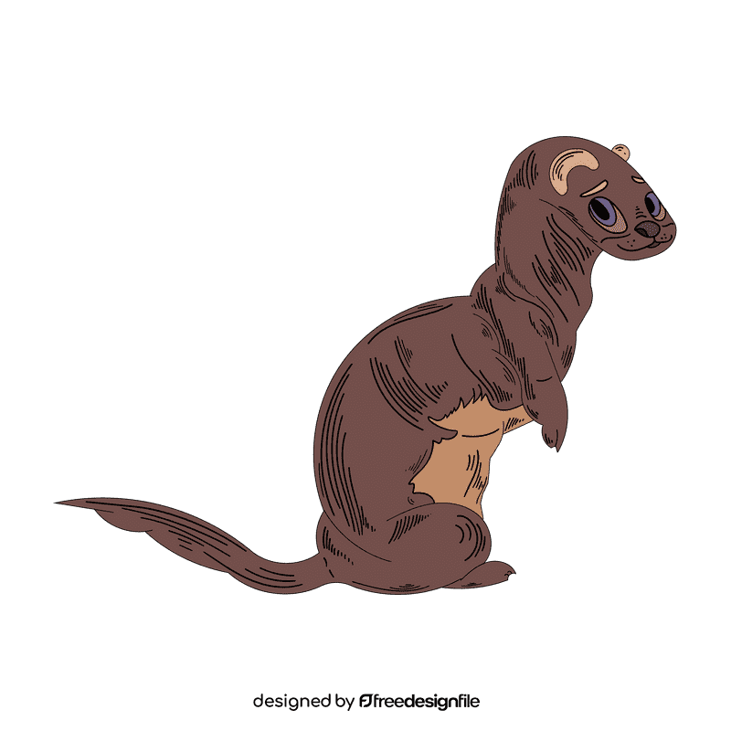 Ferret clipart
