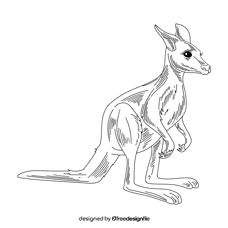 Kangaroo black and white clipart
