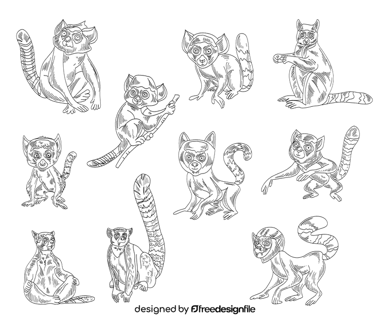 Lemur black and white vector